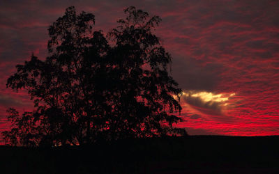 Low angle view of silhouette tree against dramatic sky