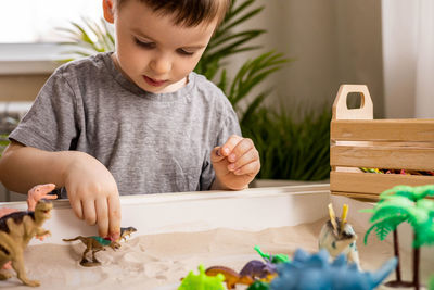 Portrait of boy playing with toy blocks at home