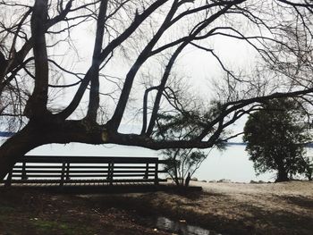 Empty bench by bare trees against sky