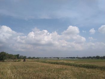 Scenic view of field against sky