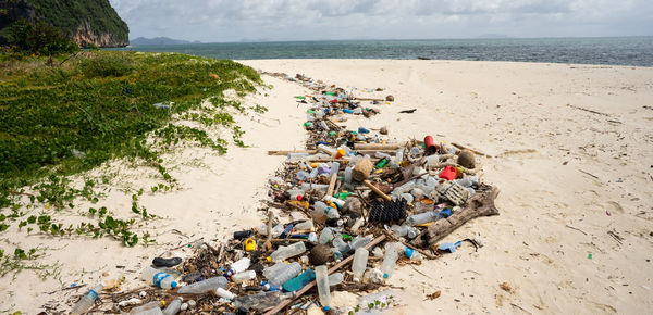 High angle view of plants on beach
