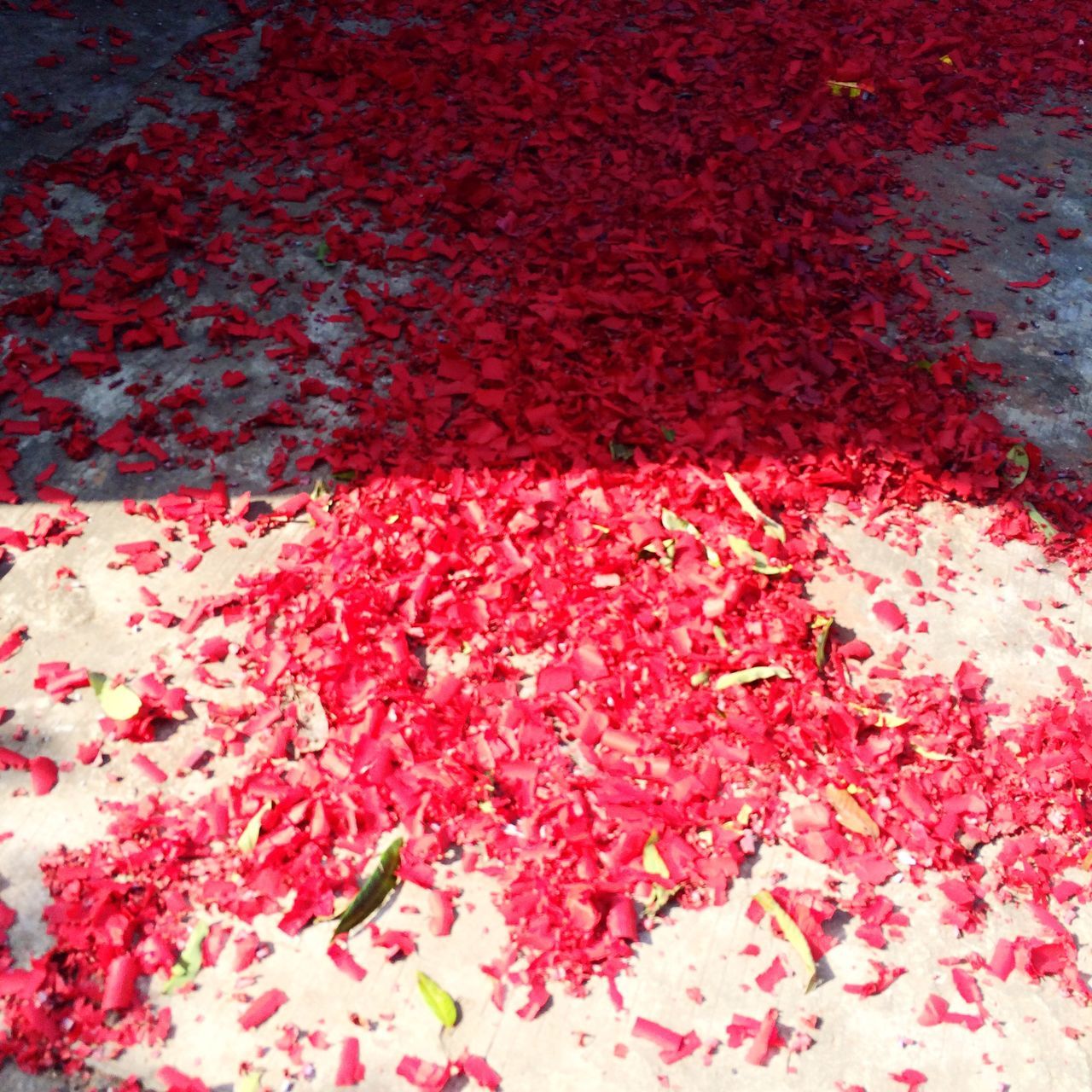 red, high angle view, full frame, textured, backgrounds, wall - building feature, pink color, close-up, pattern, indoors, no people, day, directly above, wall, leaf, flower, detail, built structure, metal