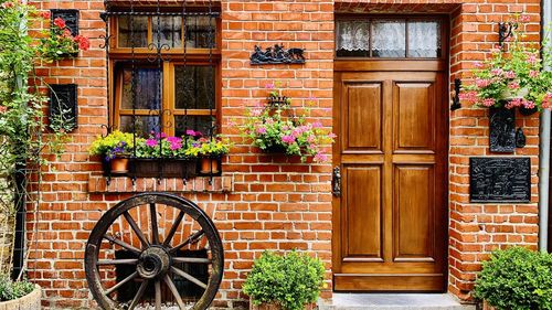 Potted plants on window of building