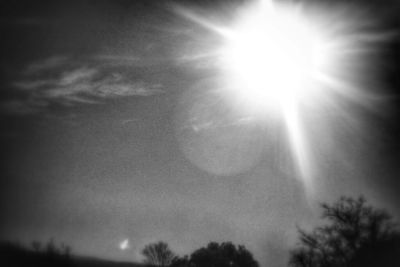 Sun shining through trees