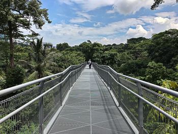 Footbridge amidst trees against sky