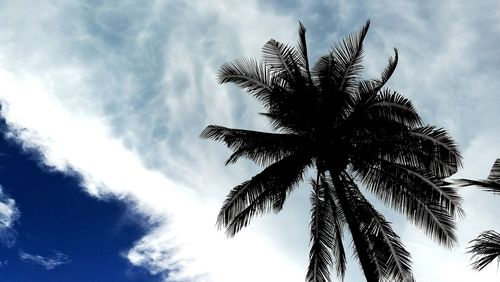 Low angle view of silhouette tree against sky