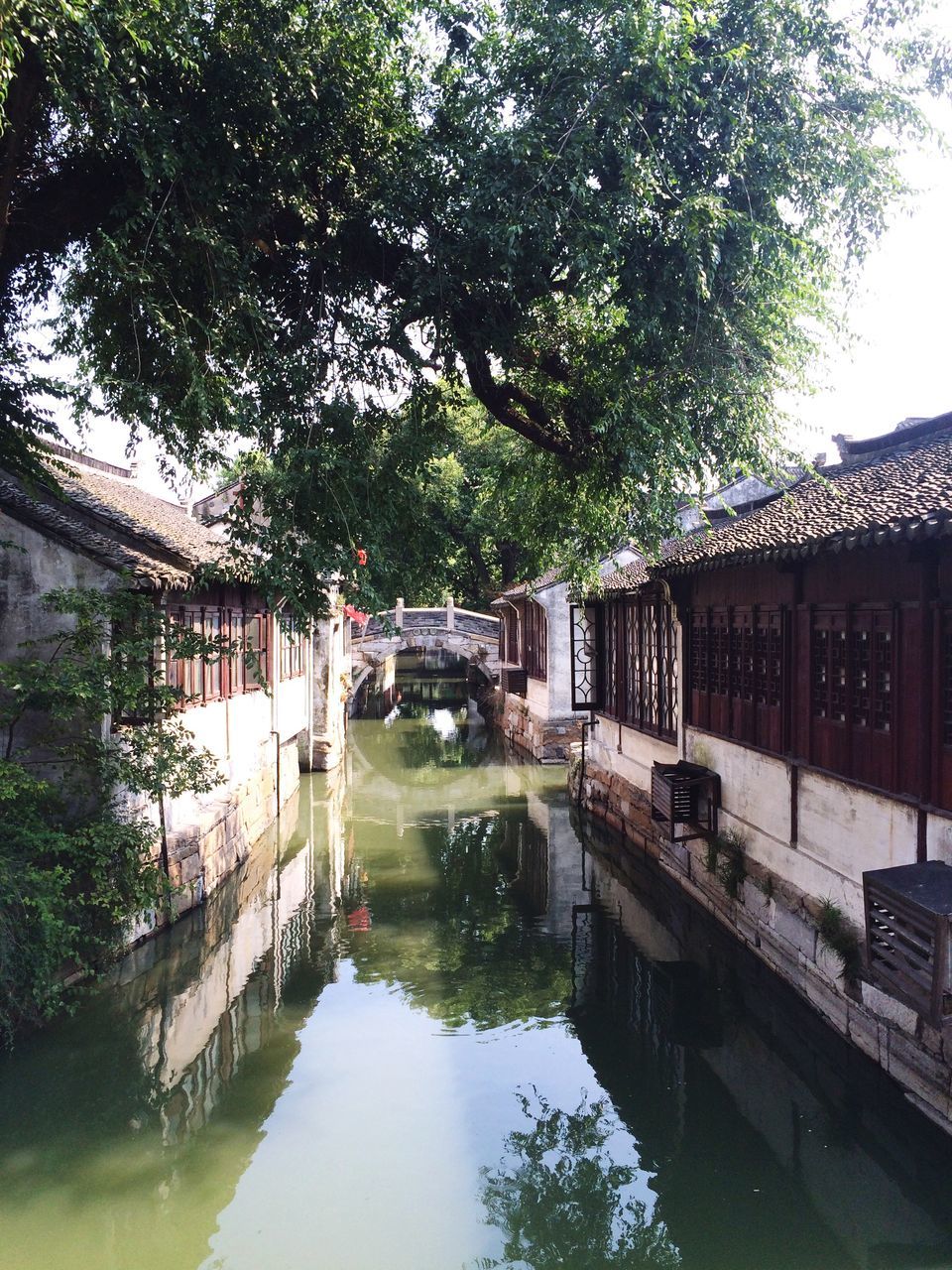 water, tree, architecture, reflection, built structure, building exterior, waterfront, day, no people, outdoors, nature, sky