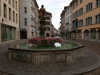 Potted plant by street against buildings in city