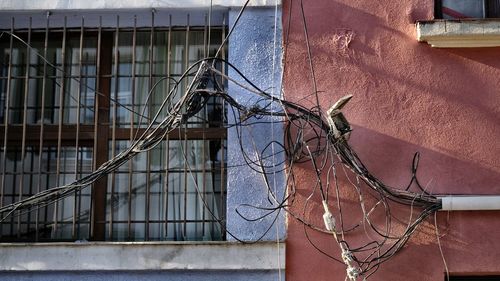 Close-up of metal fence against building