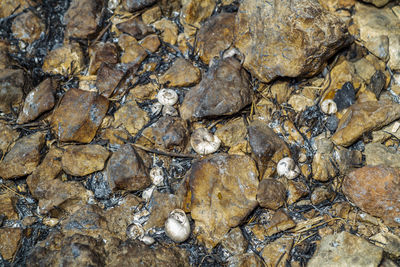 Full frame shot of rock