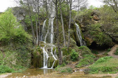 Scenic view of waterfall in forest