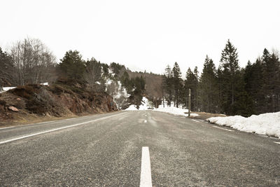 Surface level of road amidst trees against clear sky