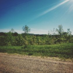 Scenic view of grassy field against sky