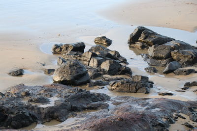 High angle view of rocks on beach