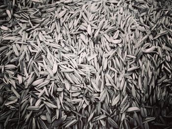 Full frame shot of garbage