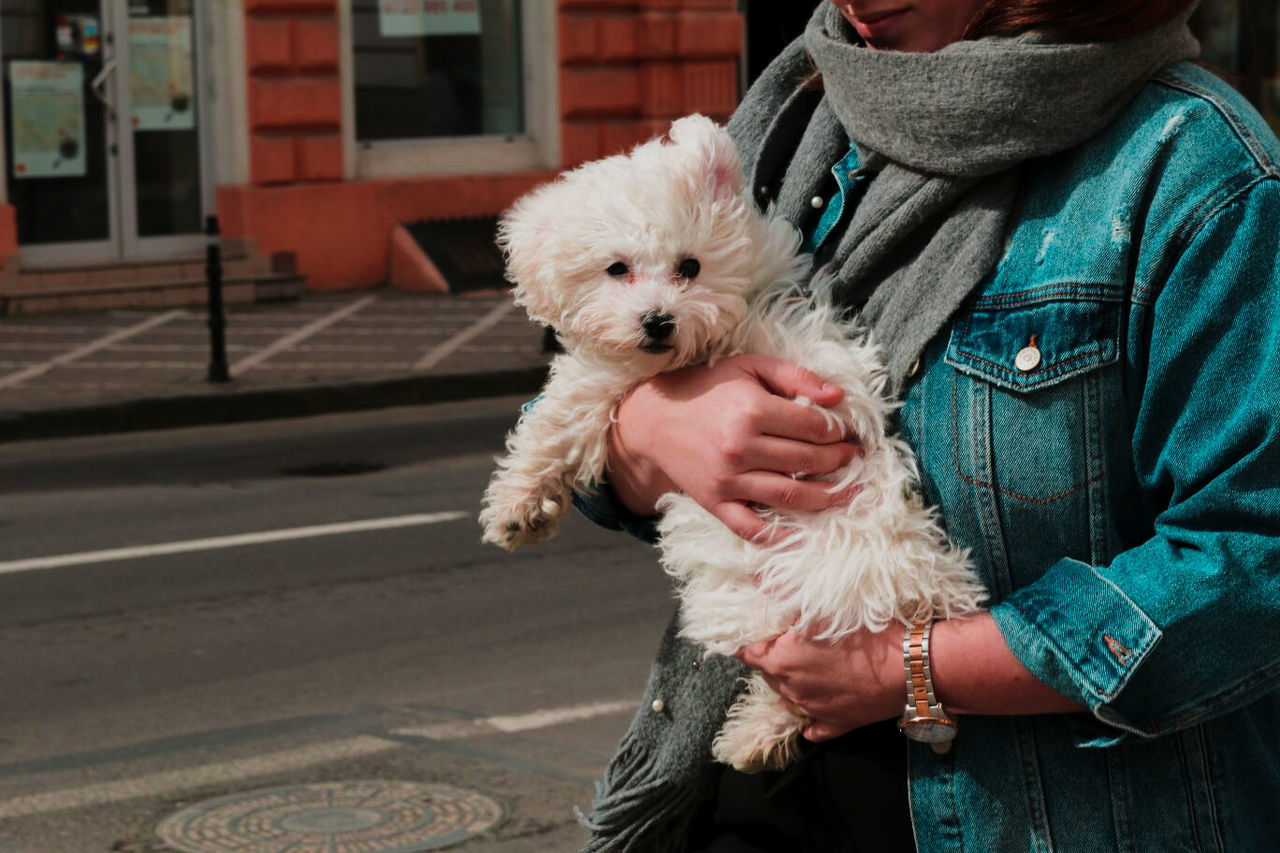 domestic, pets, dog, canine, mammal, one animal, domestic animals, one person, clothing, emotion, adult, casual clothing, midsection, focus on foreground, friendship, real people, warm clothing, positive emotion, pet owner, small, care