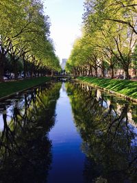 Reflection of trees in lake