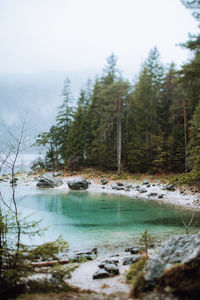 Scenic view of lake in forest against sky