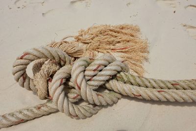 High angle view of rope tied on sandy beach