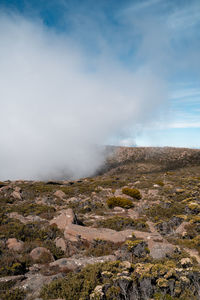 Scenic view of landscape against sky