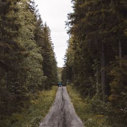 Man walking on road amidst trees against sky