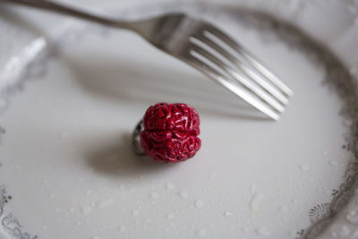 Close-up of cake on plate