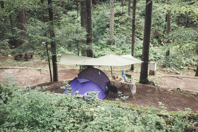 High angle view of tent in forest