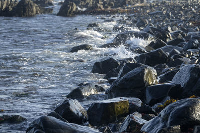 Scenic view of sea