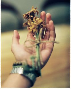 Close-up of hand holding flower