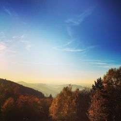 Trees by mountains against sky during sunrise