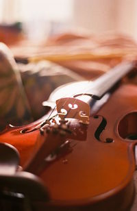 Close-up of violin