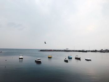 Sailboats in sea against sky