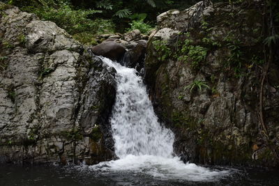 Waterfall in forest