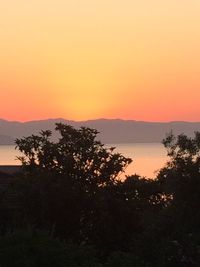 Silhouette trees by sea against orange sky