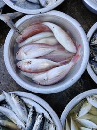 High angle view of fish for sale at market