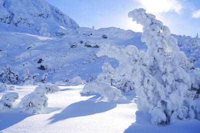 Snow covered landscape against sky