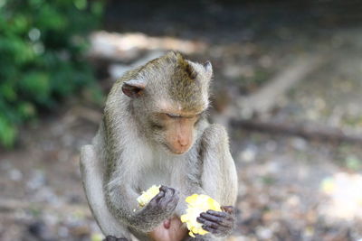 Young man eating food