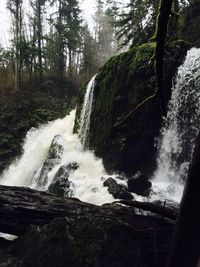 Waterfall in forest