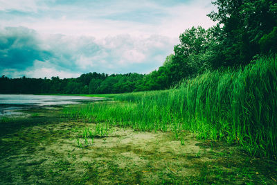 Scenic view of field against cloudy sky