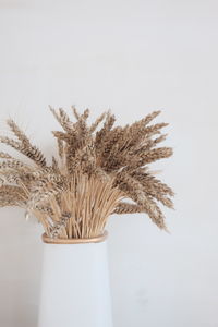 Close-up of vase on table against white background