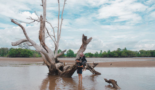 Driftwood on tree by water against sky