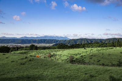 Scenic view of field against sky