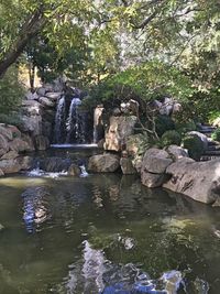 Water flowing through rocks