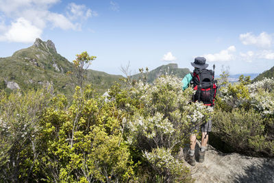 Rear view of man standing on rock by plants against sky