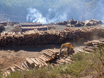 Forestry industry and stack of logs in swaziland