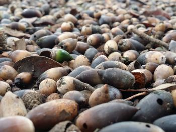 Full frame shot of pebbles