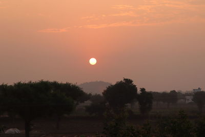Silhouette trees on field against orange sky