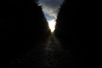 Footpath amidst trees against sky