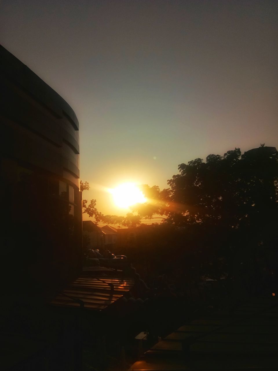 SILHOUETTE OF TREE AT SUNSET