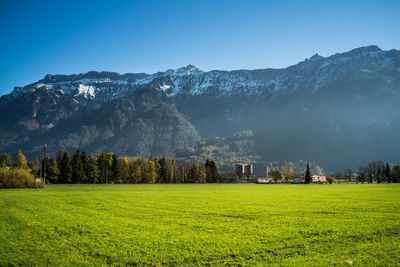 Scenic view of field against clear blue sky